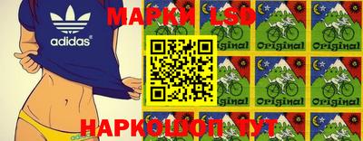 молекула духа Донецк