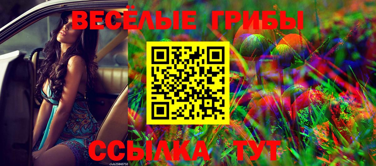 Псилоцибиновые грибы GOLDEN TEACHER  Вход с VPN  Добрянка  наркота  Галлюциногенные грибы Psilocybe 