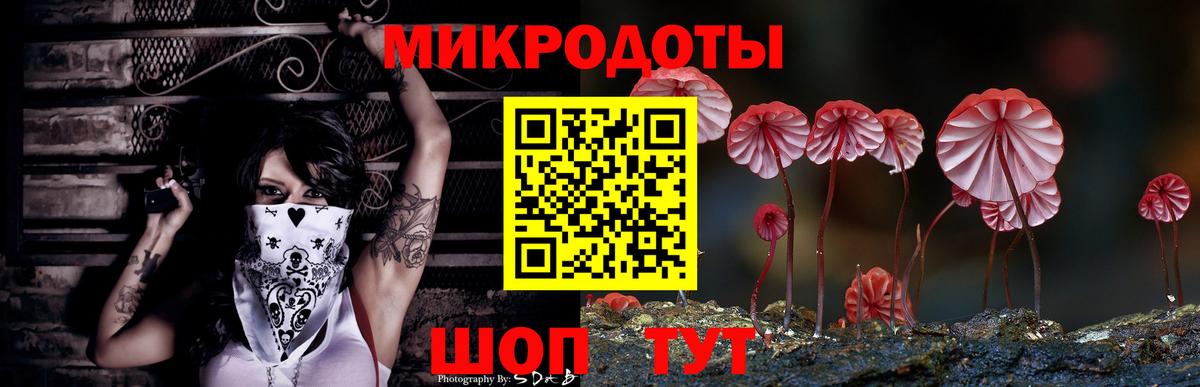 Псилоцибиновые грибы Psilocybine cubensis Добрянка